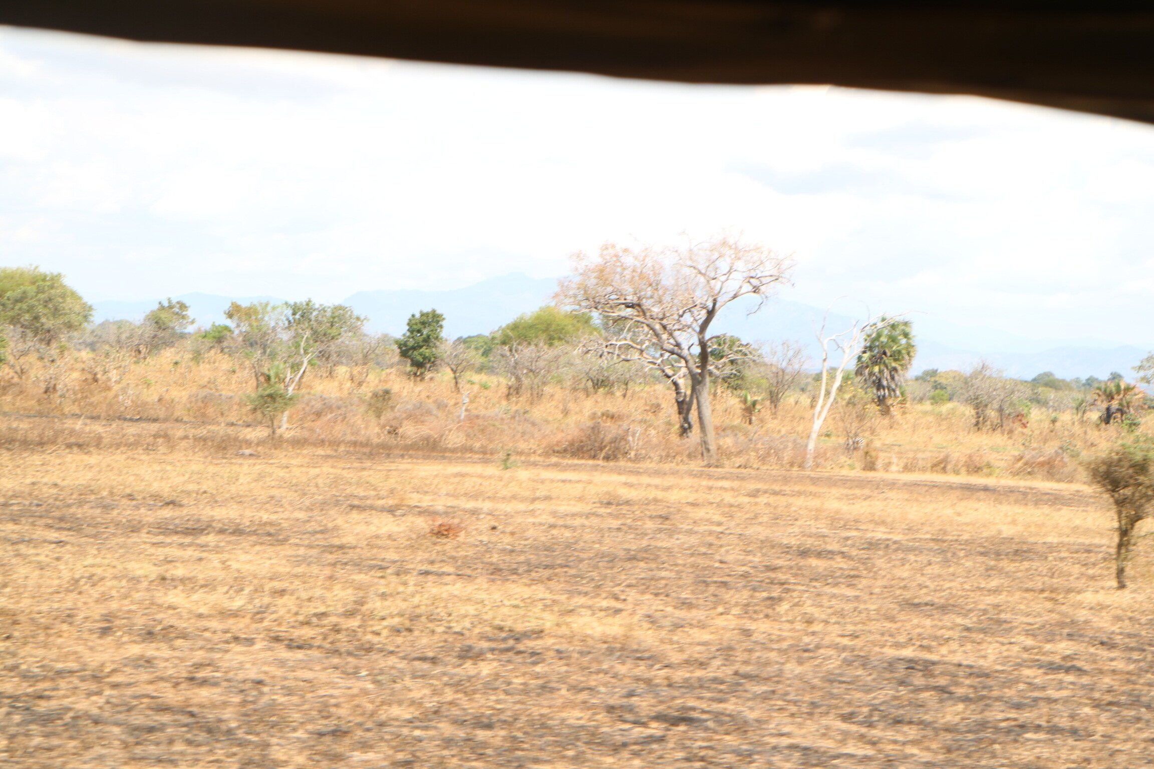 Dry plain and mountains from vehicle window