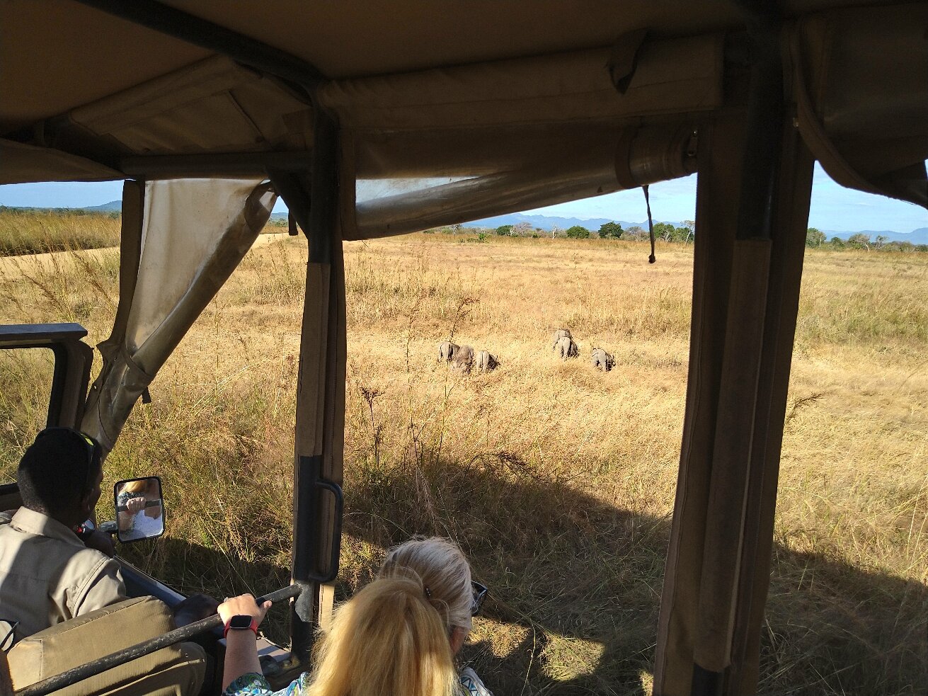 Guests in a safari vehicle watching distant elephants at Mikumi