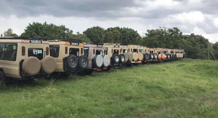 A long row of parked beige safari Land Cruisers at Mikumi