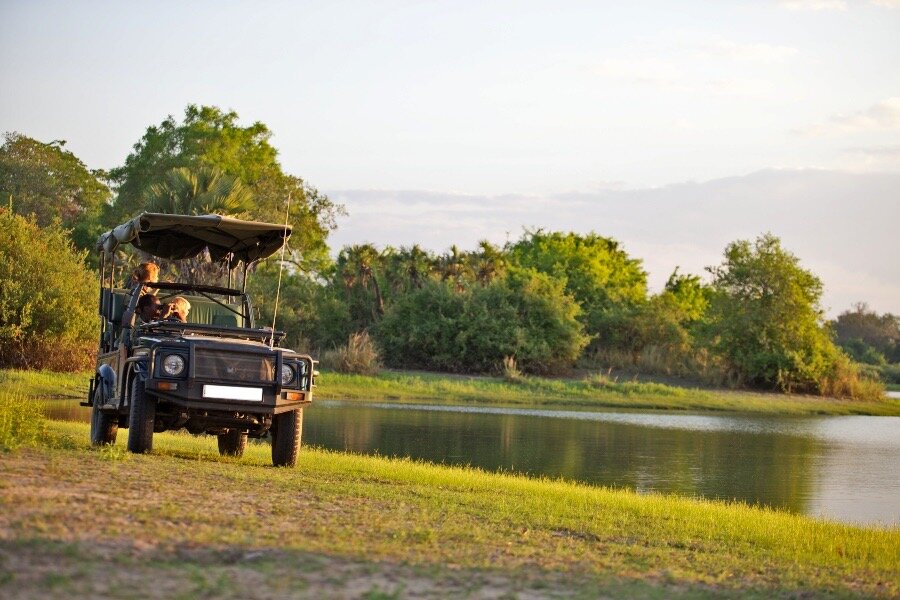 Safari vehicle beside a palm-fringed river at golden hour in Mikumi National Park