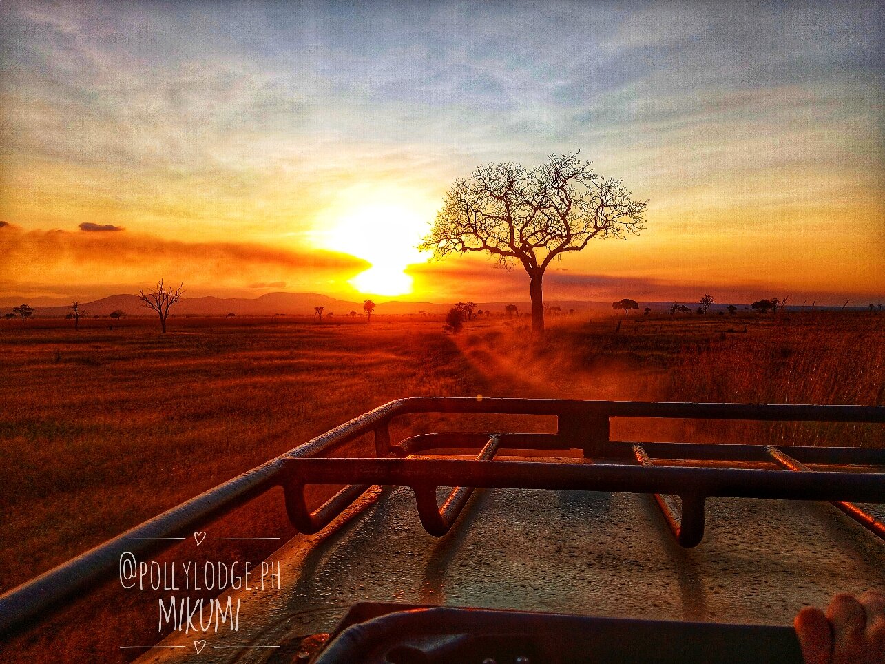 Sunset behind a lone tree seen over a safari vehicle roof in Mikumi